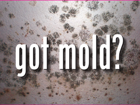 Mold wars