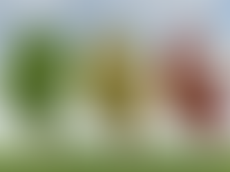 Will we ever learn? The problem of collective amnesia