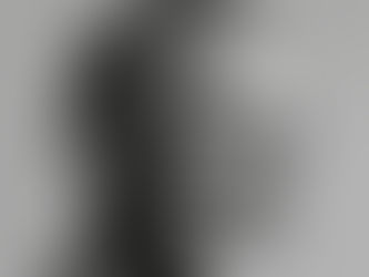 30 Hours with Obama- A Promised Land Reviewed.