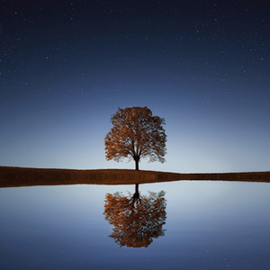 Relaxing Scientifically: Embracing Polarity for Mindful Ease
