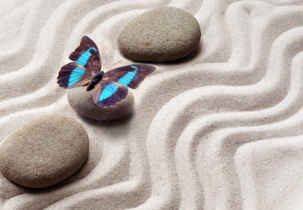 The Oscillation of the Mind: Craving, Aversion, and Liberation