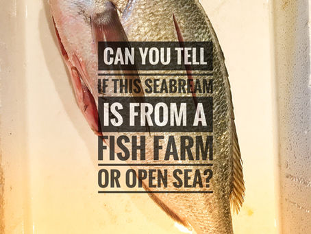 Distinguish wild gilt-head sea bream from farmed