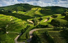 “Top 10 Scenic Road Trips from Bangalore for Travel Enthusiasts”