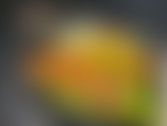 A Culinary Tour of Bangalore: 10 South Indian Food Every Tourist Must Try