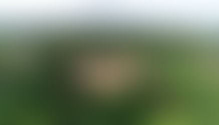 Top 10 Engineering Colleges in Bangalore Powering Innovation