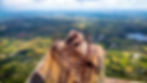 Shivagange Hills — The Pilgrim's Peak