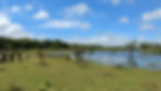 Hesaraghatta Grasslands — The Untamed Wilderness