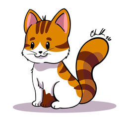 Cally