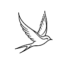 ×¡× ×•× ×™×ª 2_edited_edited_edited.png