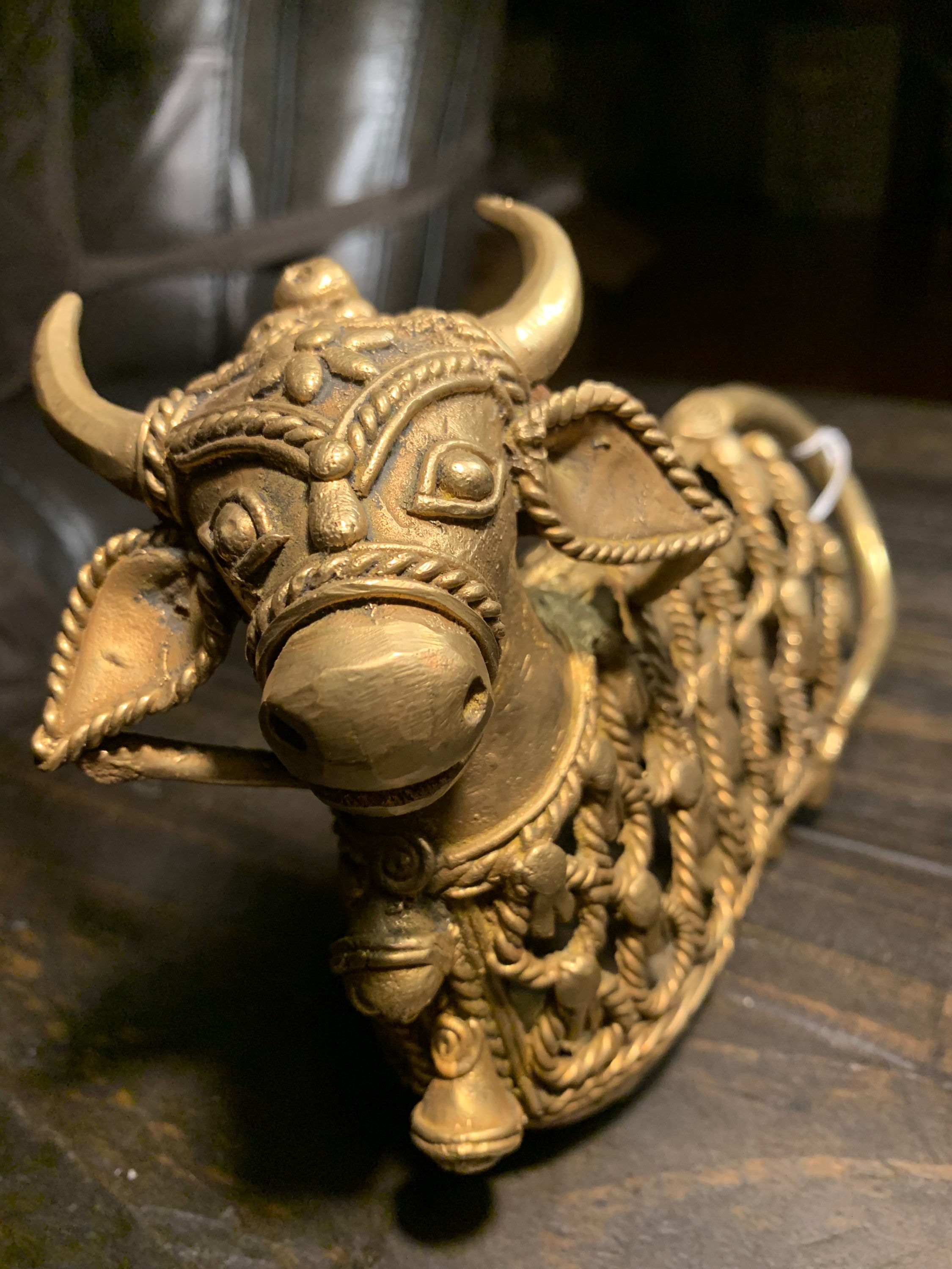 Netted Nandi