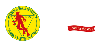 iantd-30-years-header