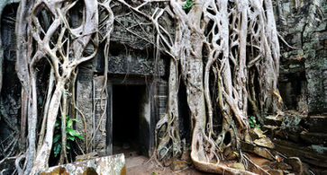 Ta Prom Temple, Siem Reap Tour.jpg