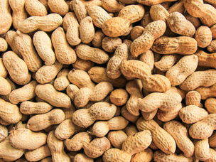 Peanuts