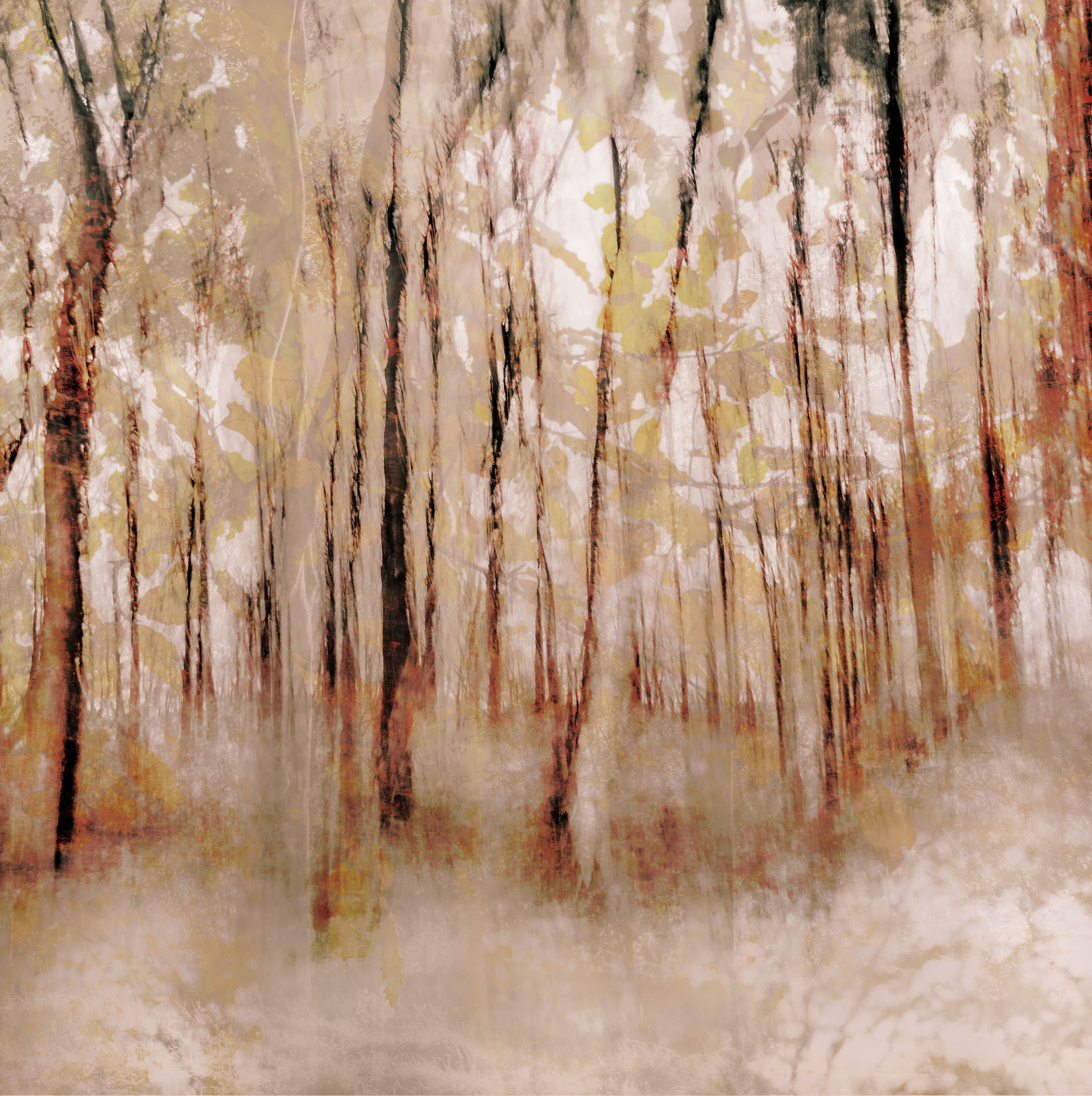 Woodland Dreams
