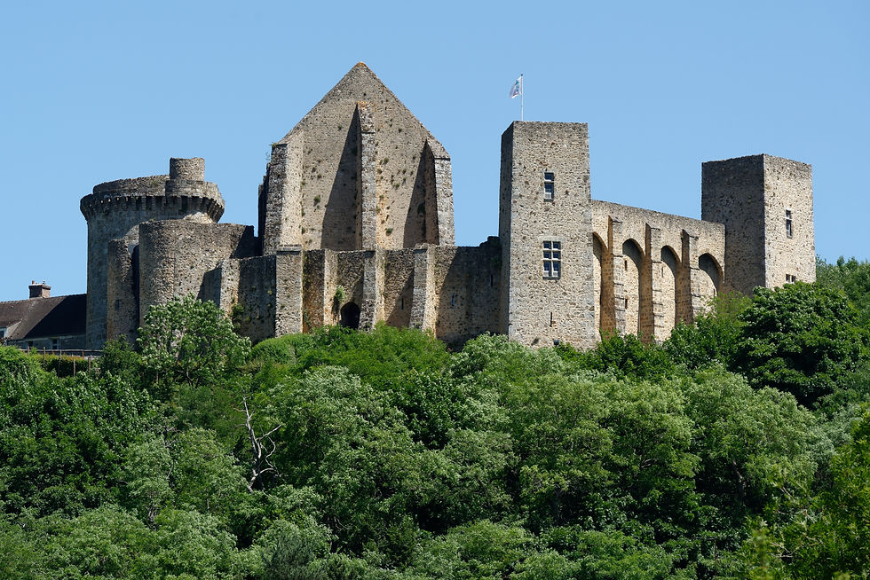 Château_de_la_Madeleine_Chevreuse_n5.jpg