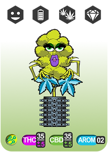 Carta_01.png
