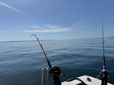 Lingcod Fishing Charters