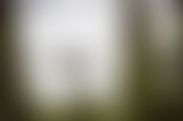 NTV Companies Featured in Alaska Business Monthly