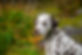 Image-empty-state.png