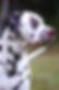 Image-empty-state.png