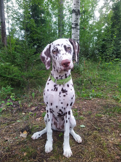 Tilda6kk.jpeg