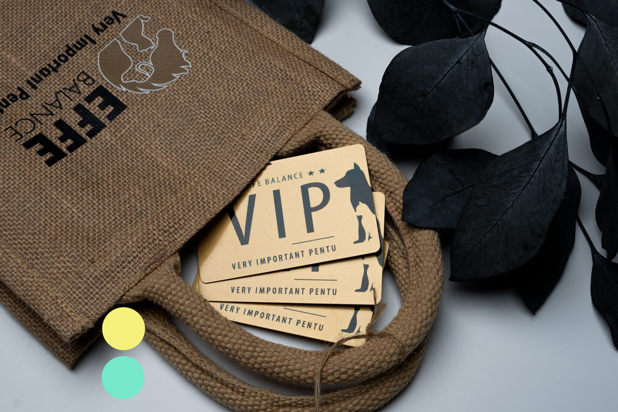 VIP Very Important Pentu kultainen alennuskortti -20%