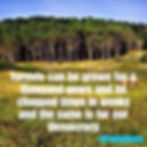 Forests grown and trees cut down