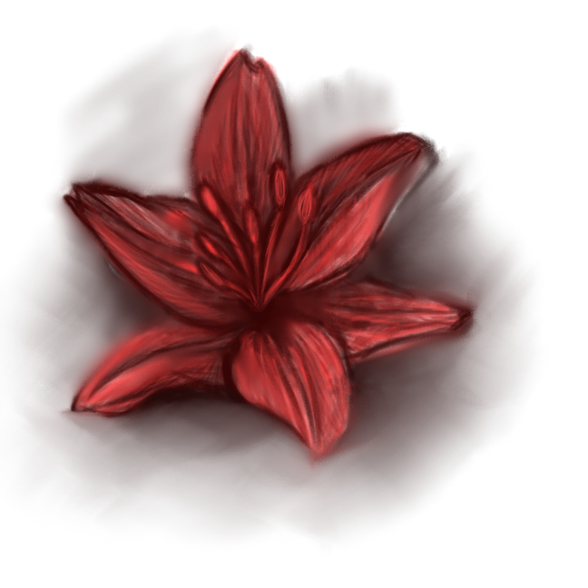 Untitled_Artwork 2.png