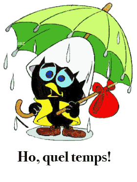 gif-mc3a9tc3a9o-8.gif