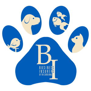 Business Insurers of the Carolinas logo