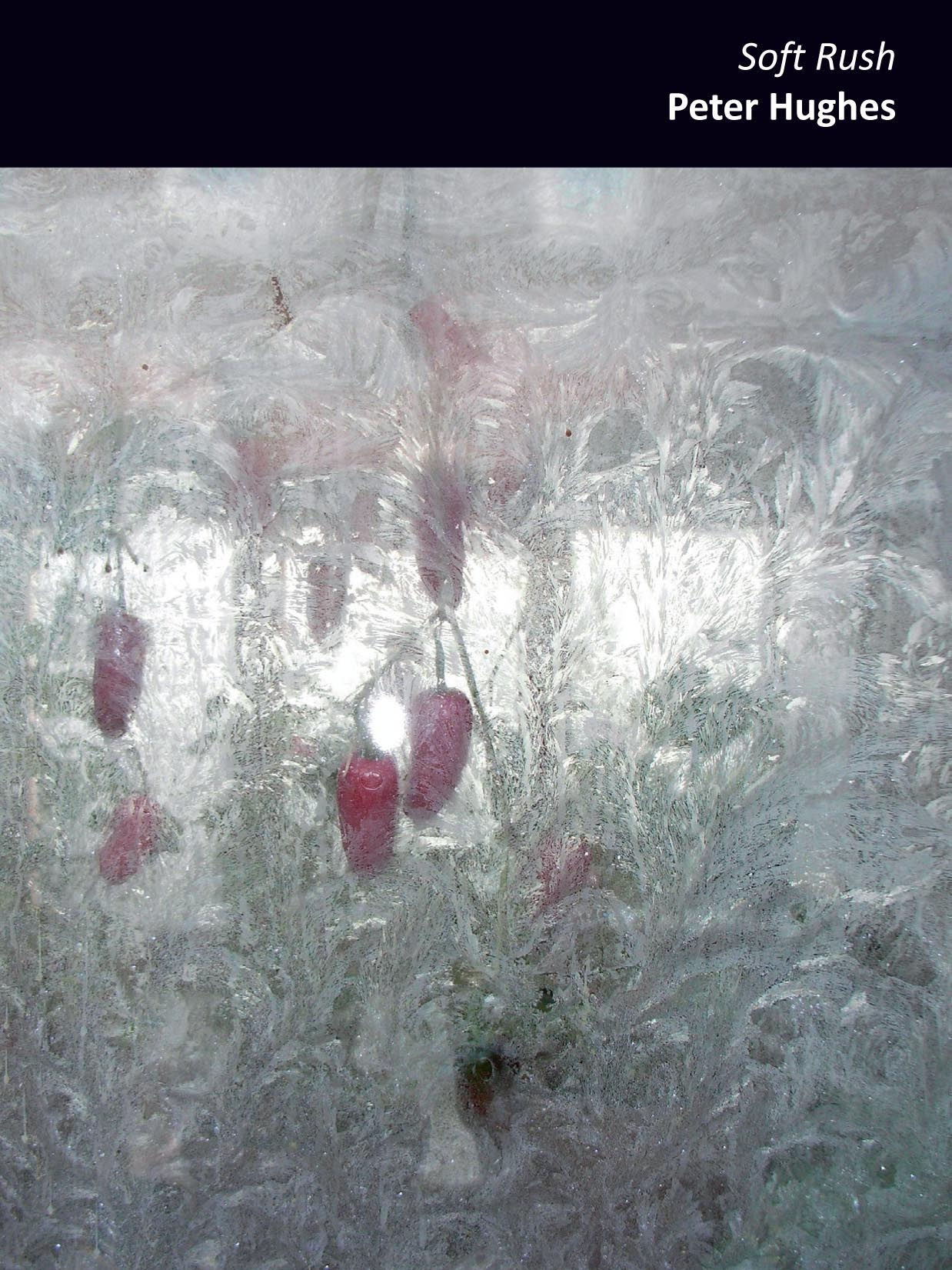 Soft Rush - Peter Hughes