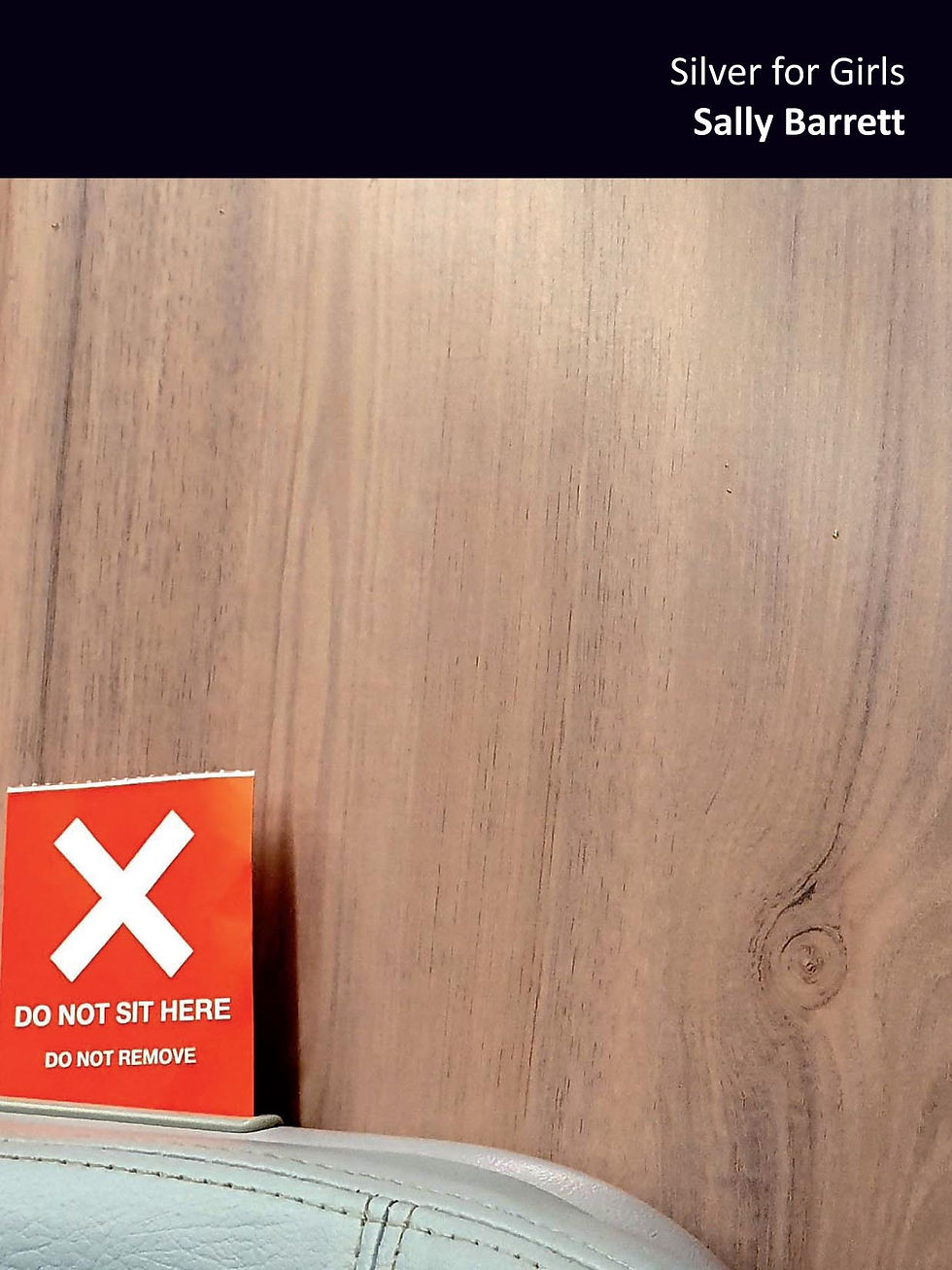 Silver for Girls - Sally Barrett