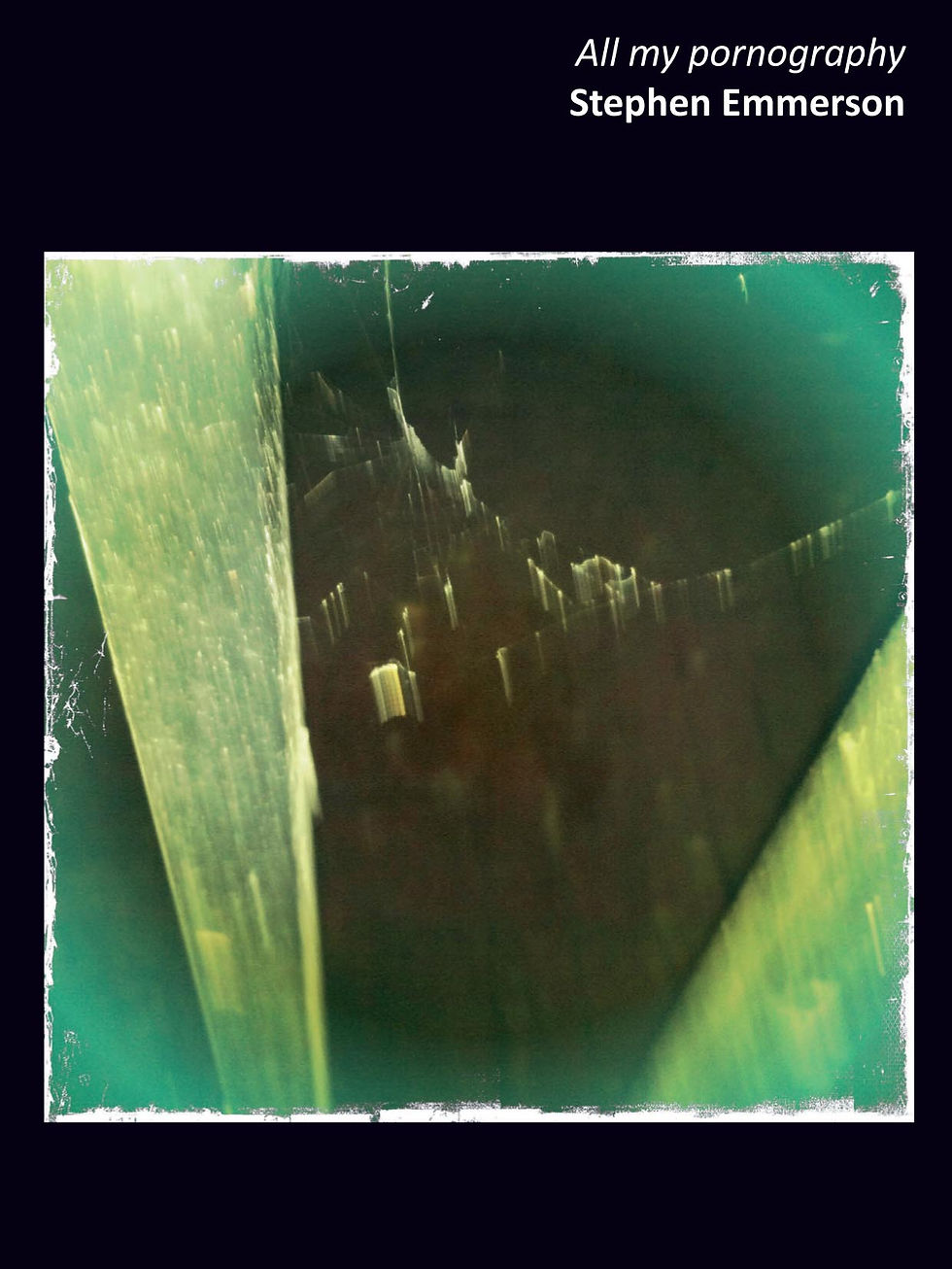 All my Pornography - Stephen Emmerson