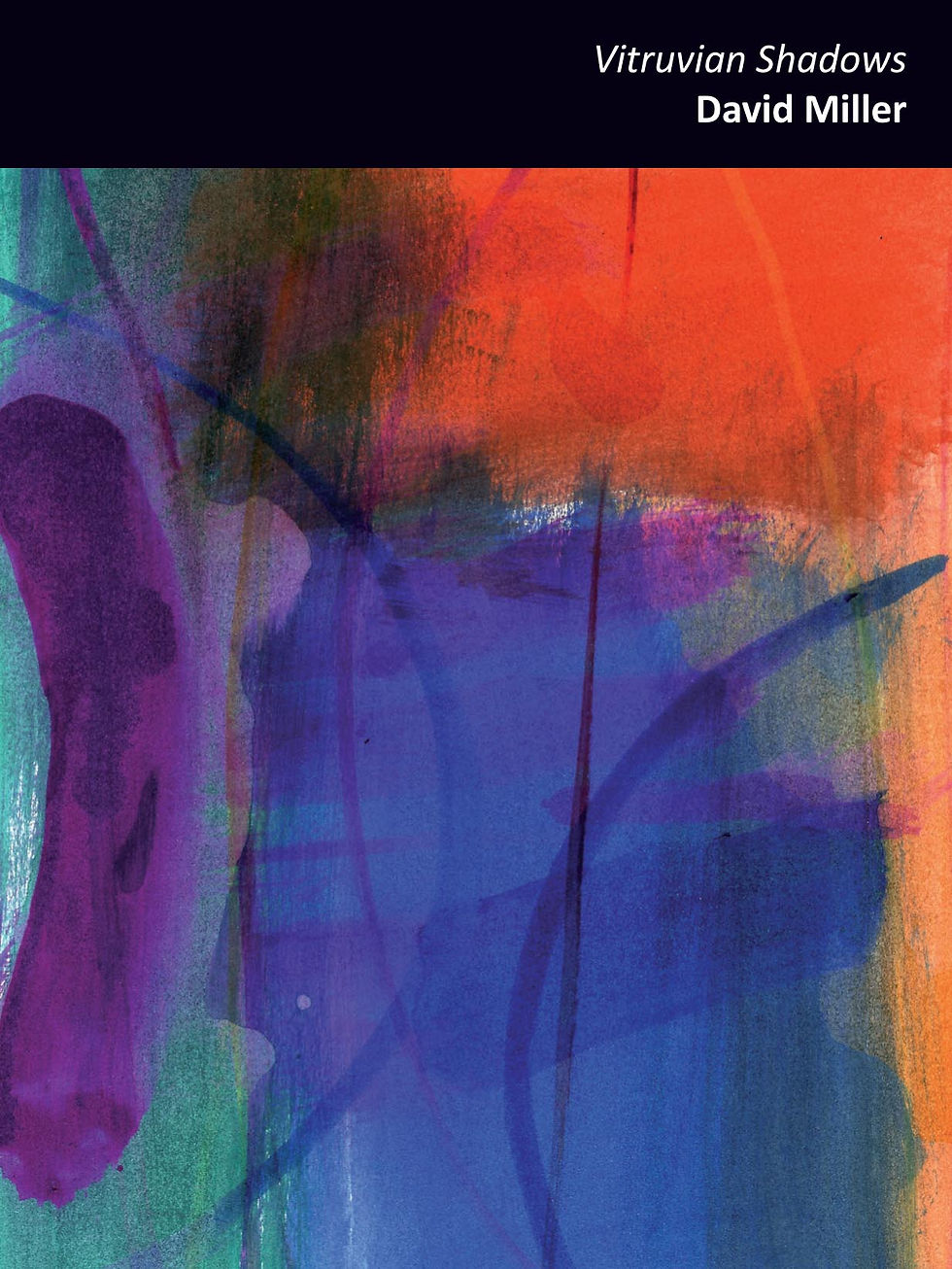 Vitruvian Shadows - David Miller