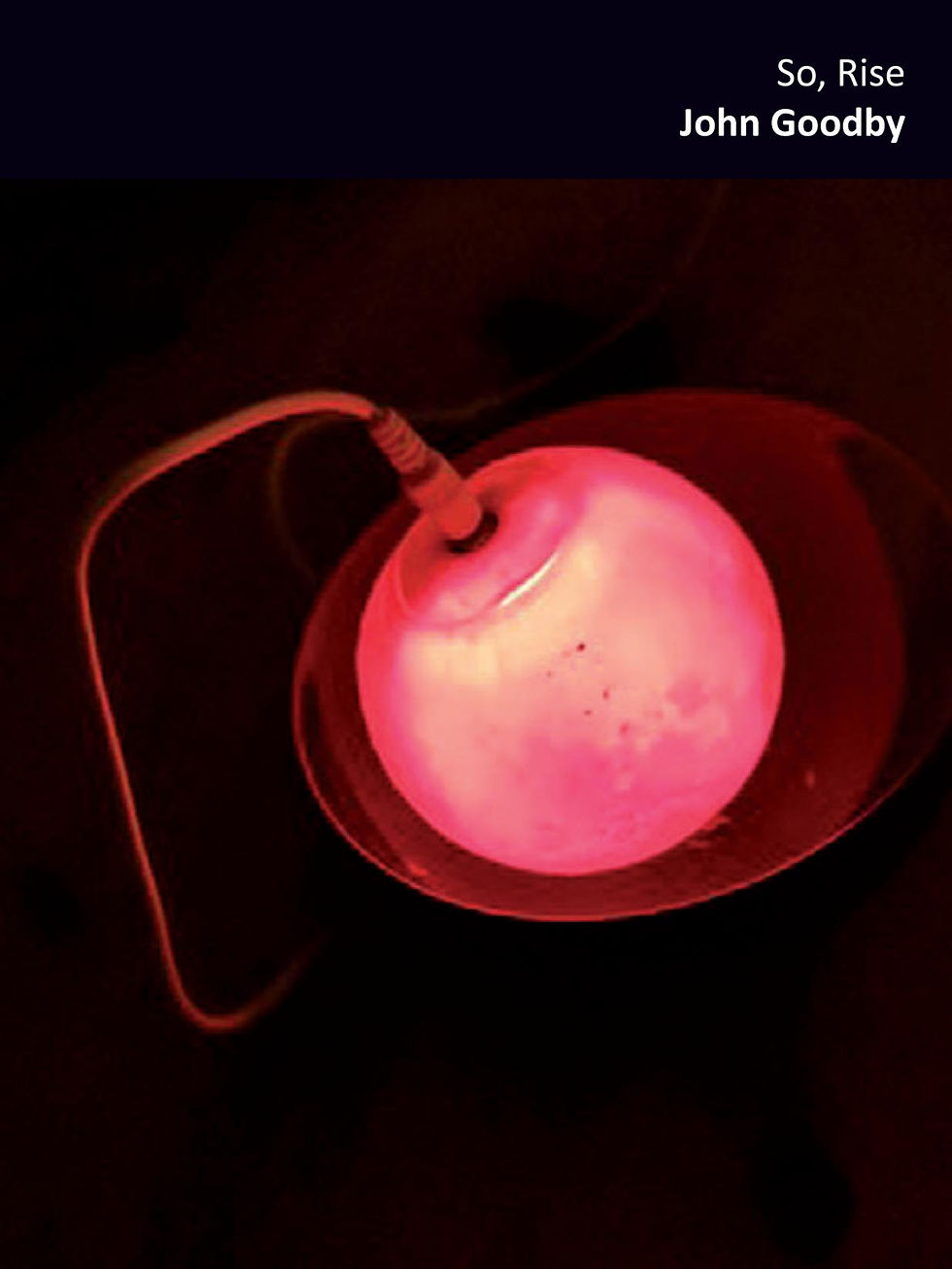 So, Rise - John Goodby