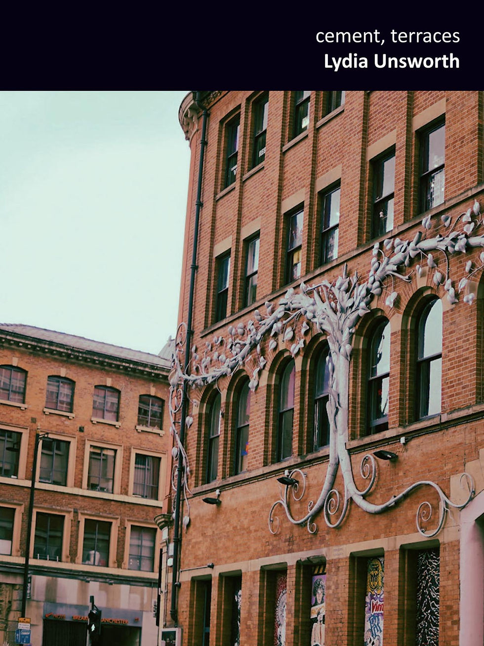 cement, terraces - Lydia Unsworth