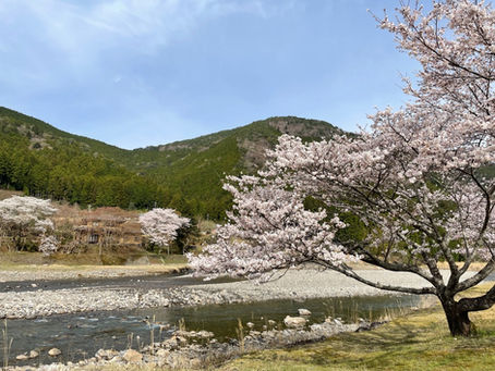 2022年4月の空室状況