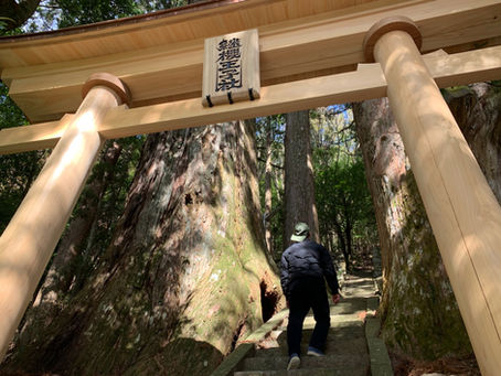 継桜王子の鳥居が新しくなりました