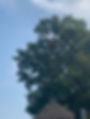 327457815_728215645358634_1207230210471581220_n_edited.jpg