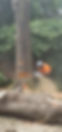 106270377_1700851100068151_7082789884950071433_n.jpg