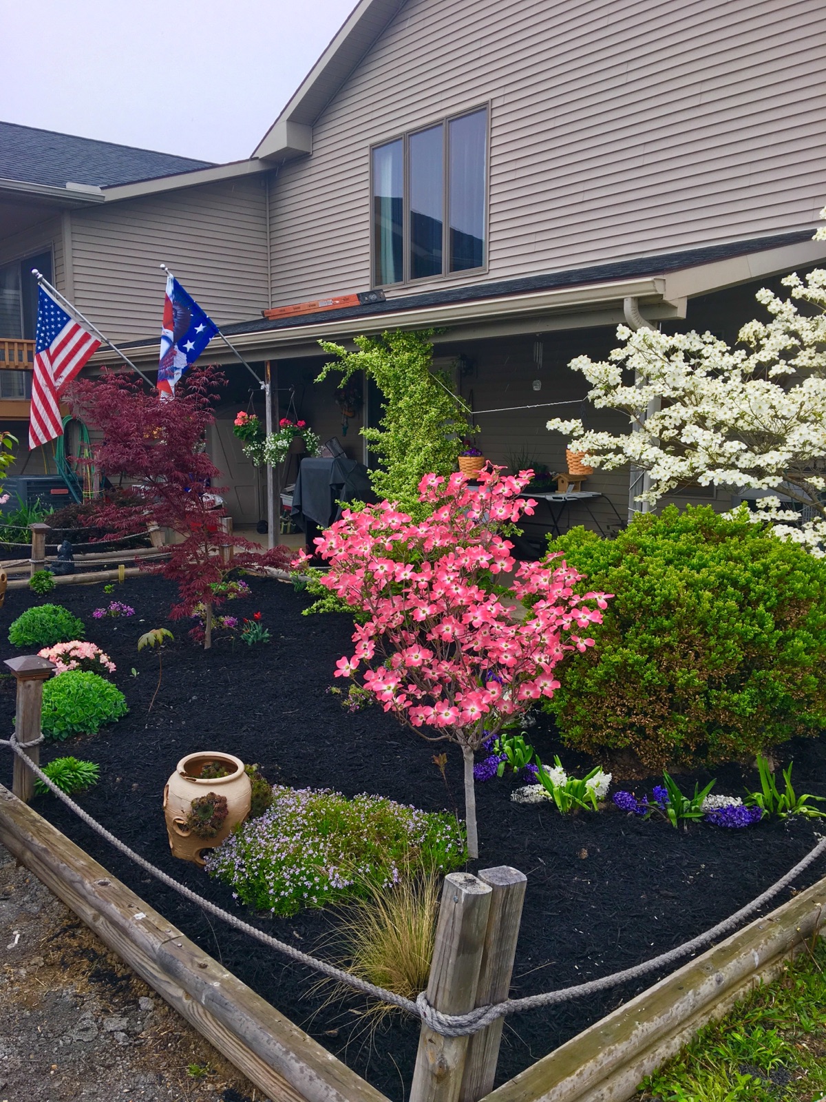 Dyed Black Mulch being used