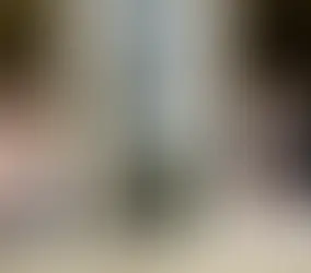 Supporting International Students Through Every Step