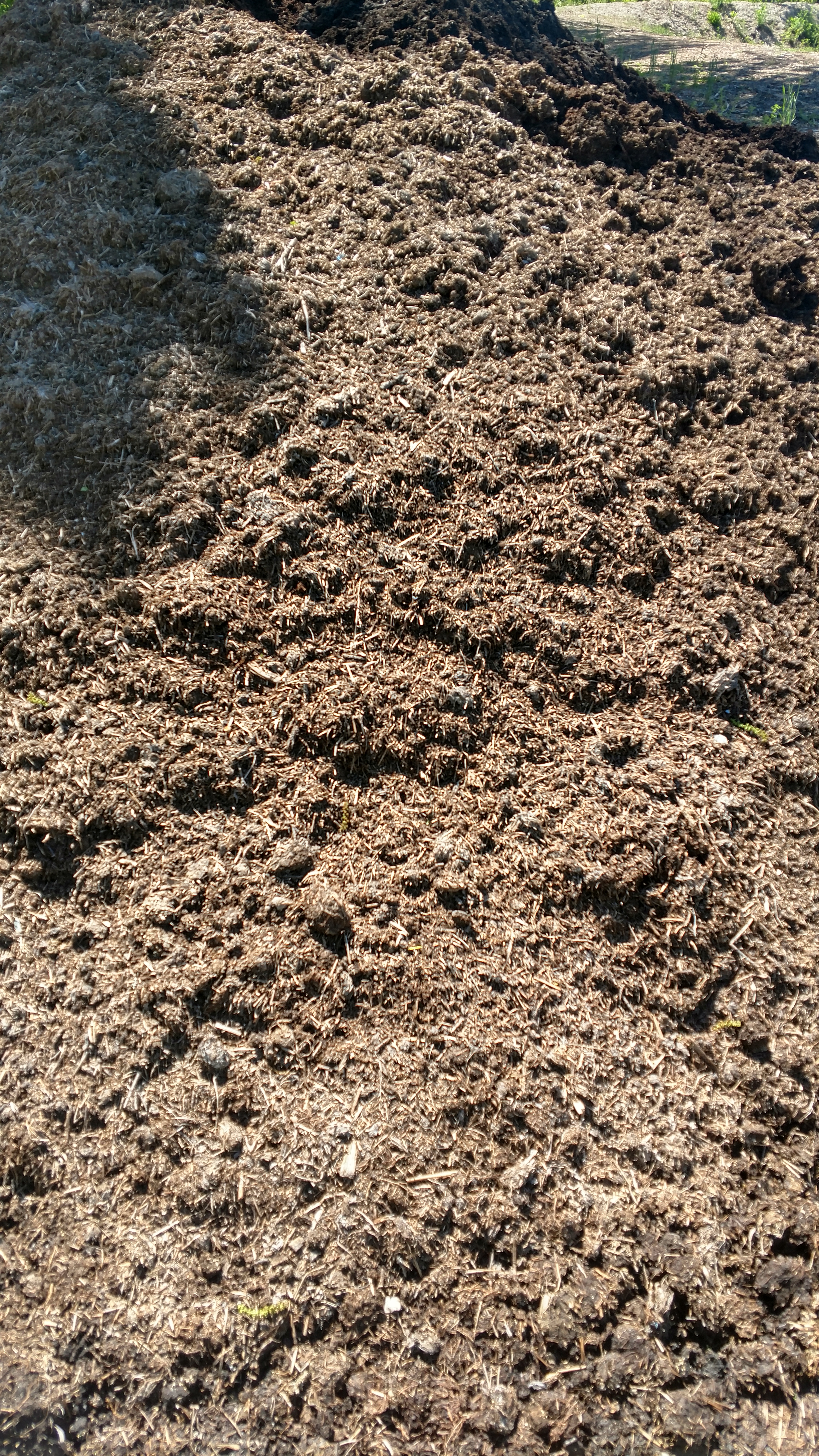 Mushroom Soil