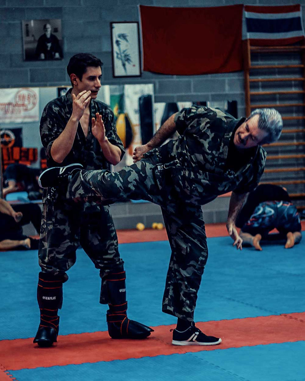 SELF DEFENSE COURSES