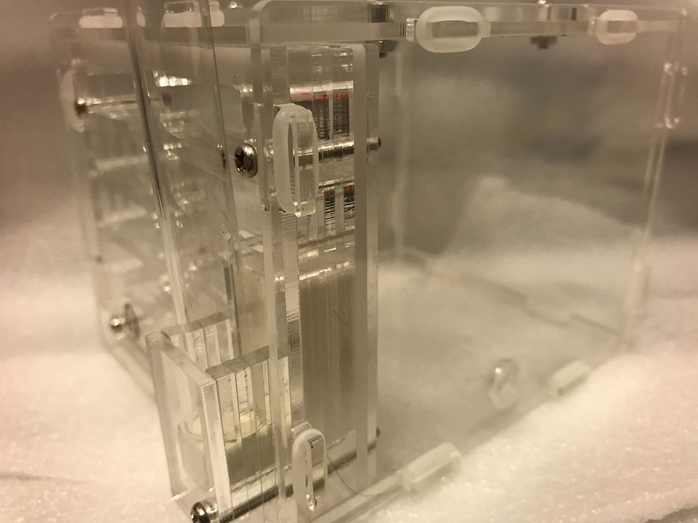 Thumbnail: Beginner Formicarium