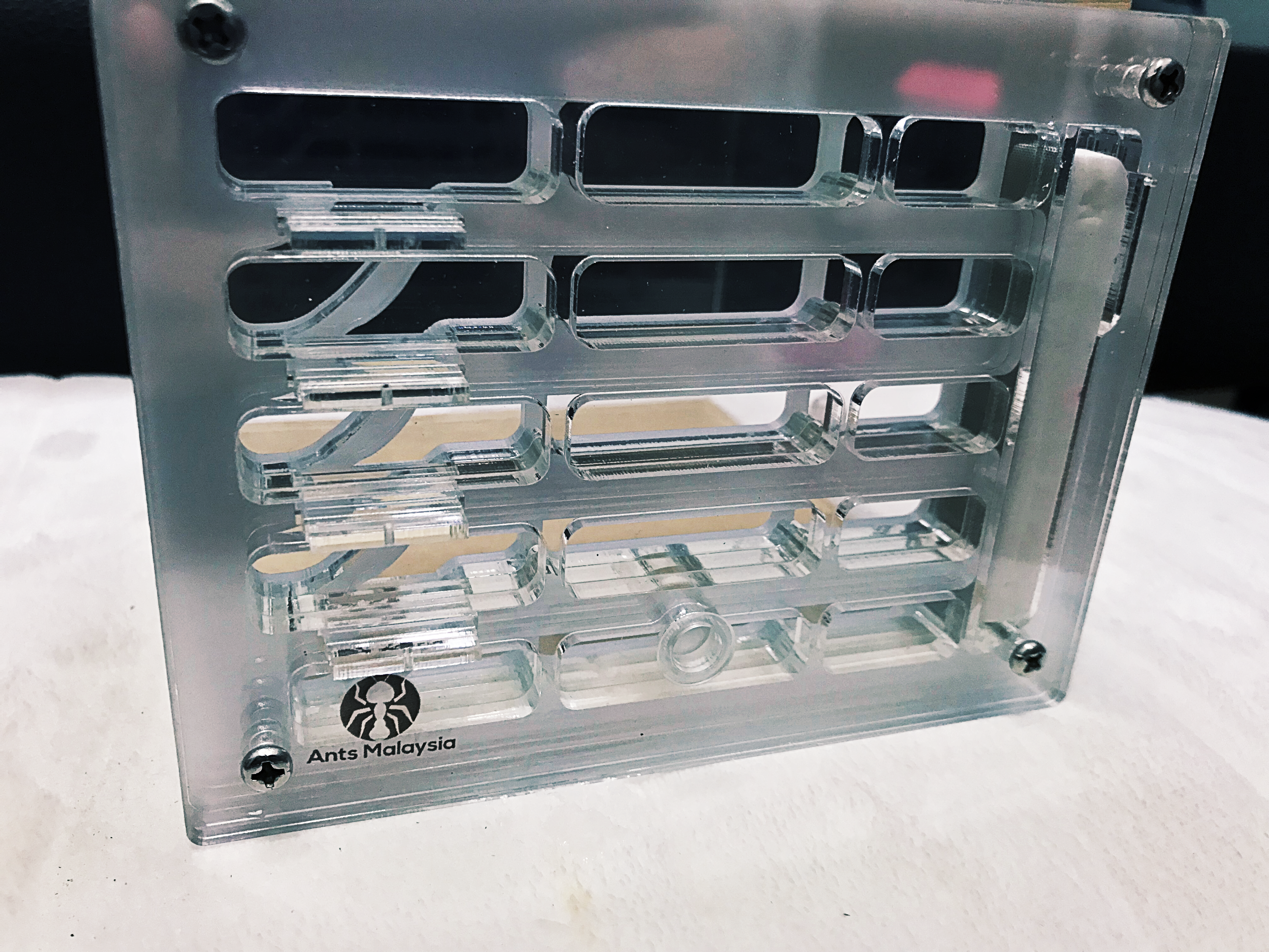 Medium Six Floor Formicarium