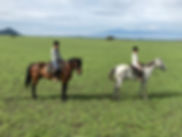 IMG_5652.jpeg