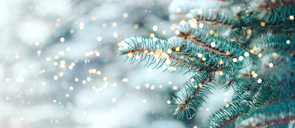 AdobeStock_303978735.jpeg