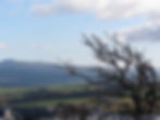 Ingleborough from Newbiggin Crags