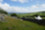 Summer at the site